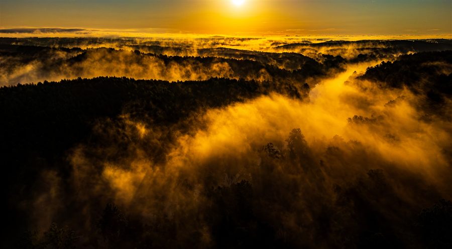 Golden fog flowing through a forested river valley